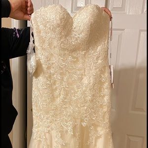 Ivory sweet heart neckline Wedding Dress